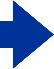 Vector